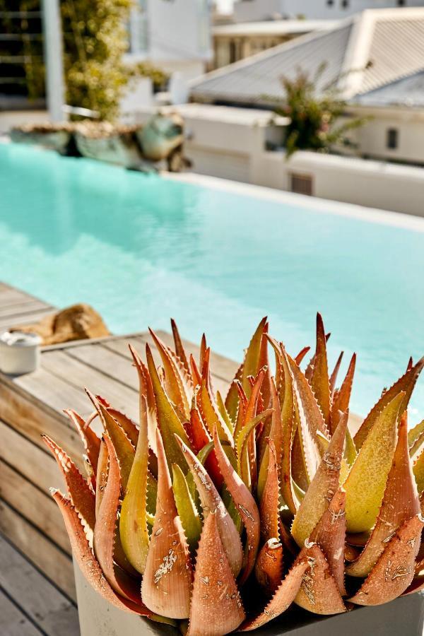 Dysart Boutique Hotel - Solar Power Cape Town Exterior foto